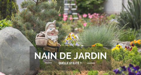 Pourquoi avoir un nain de jardin ?