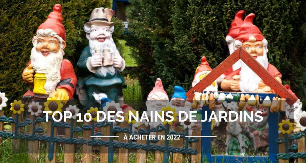 Top 10 des nains de jardins à acheter en 2024