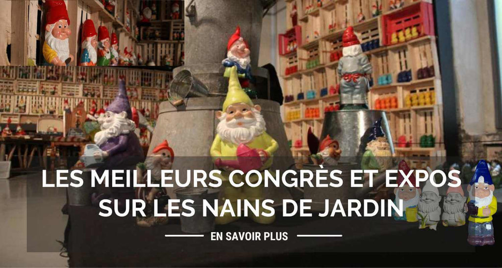 The best congresses and exhibitions on garden gnomes