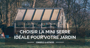 Mini serre de jardin proche d'une forêt