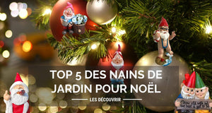 Top 5 des nains de jardin pour noël