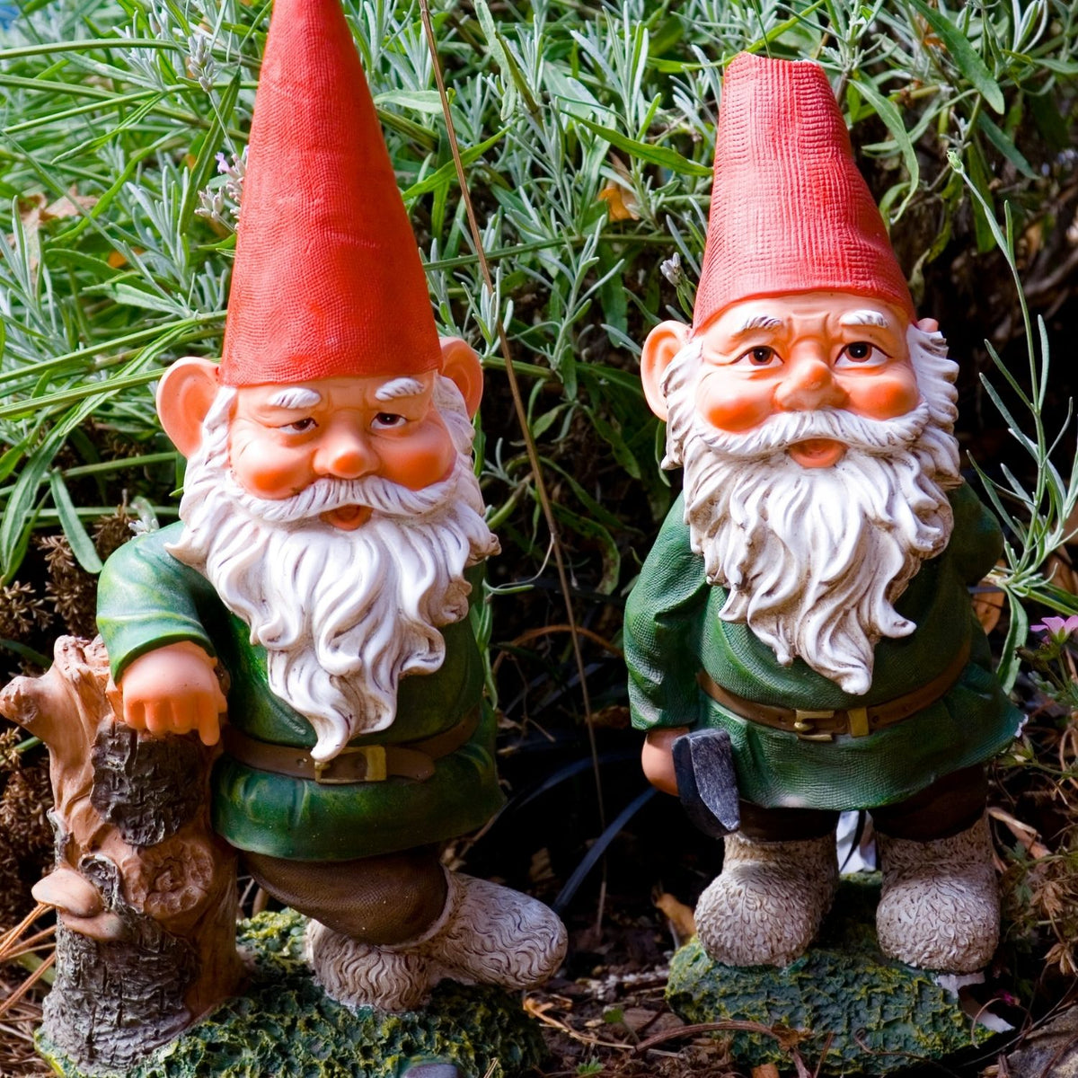 Gnome de jardin