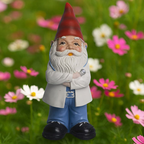 nain de jardin médecin