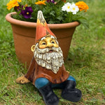 nain de jardin occasion