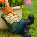 nain de jardin occasion
