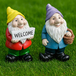 nain de jardin pas cher duo 1