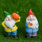 nain de jardin pas cher duo 2