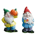 nain de jardin pas cher duo 2 fond blanc