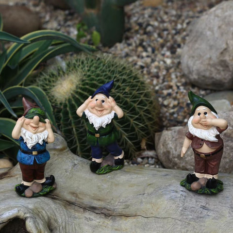 nain de jardin sage