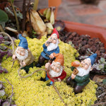 petit nain de jardin 