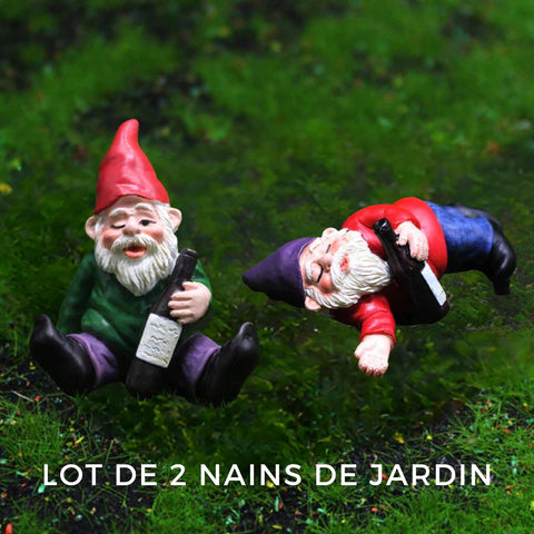 Lot nain de jardin