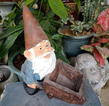 Nain de jardin à brouette
