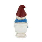 Funny garden gnome